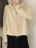 Casual Knitted Cardigan Sweaters Women Autumn Vintage Zip-up Solid Loose Long Sleeve Tops Knitwear Chic Kpop